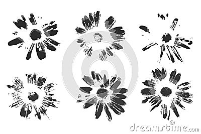 Collection of beautiful natural camomile imprints Vector Illustration